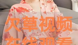 欠草在线观看视频,揭秘热门视频背后的故事与魅力